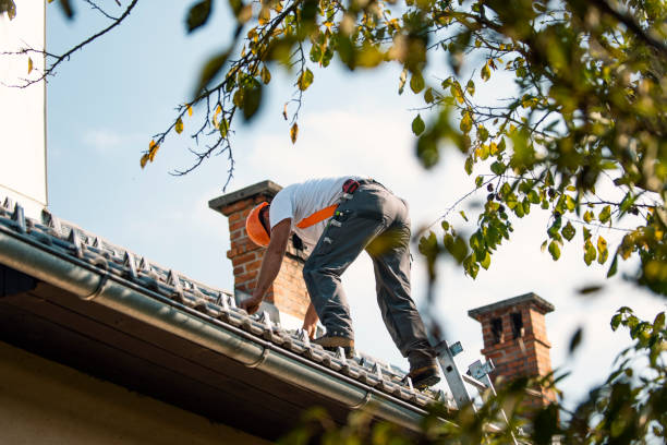 Quick and Trustworthy Emergency Roof Repair Services in West Lealman, FL